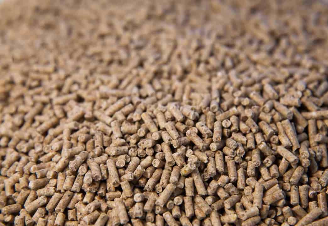 تصویر 2 از کود مرغی پودری با قابلیت پخش یکنواخت